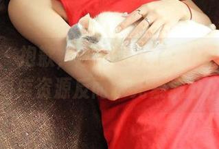 推女神 – 抱歉，泳池进水了：Lee小棠的图库资源反而水元素满分！