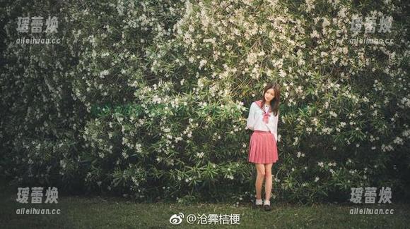 沧霁桔梗 沧霁桔梗的美图频出,学妹与壁纸的神奇合奏!